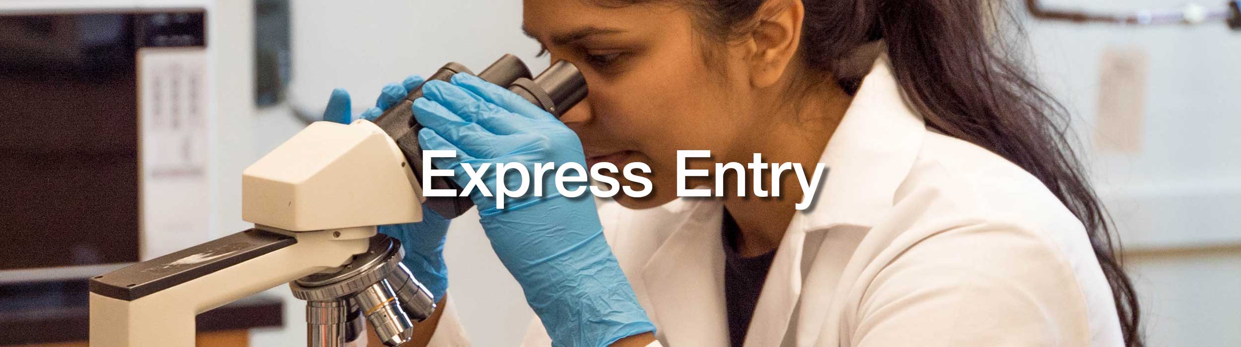 DJP Immigration Services-Express Entry